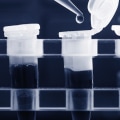 What is a Polymerase Chain Reaction (PCR) Test?