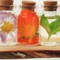 Essential Oils: Natural Remedies for Herpes Relief