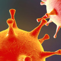Viral Culture Tests: An Overview
