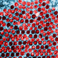 Understanding Contaminated Objects and Genital Herpes Transmission