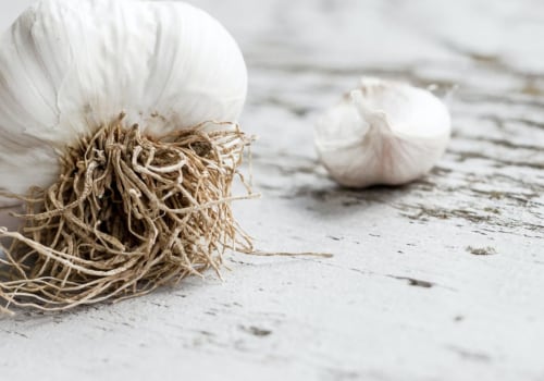 Garlic for Herpes Prevention: An Evidence-Based Overview