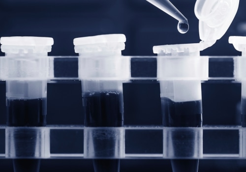 What is a Polymerase Chain Reaction (PCR) Test?