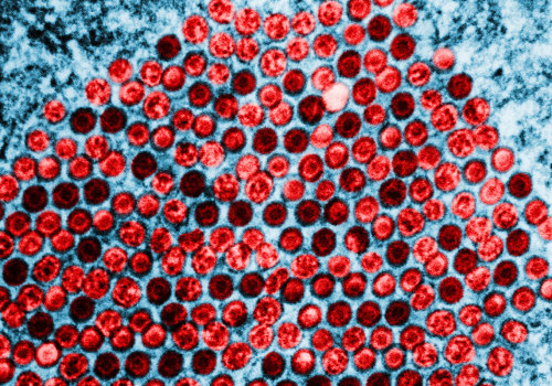 Understanding Contaminated Objects and Genital Herpes Transmission