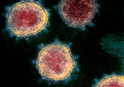 Understanding Contact with an Infected Person's Saliva or Skin